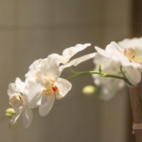 penzion v Polsku ubytování Krakov